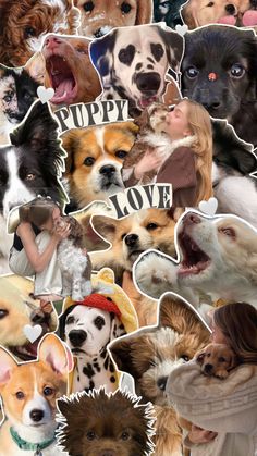 a collage of dogs and people with their faces cut out to look like they are hugging each other