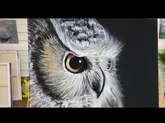 an owl's eye is shown in this artistic painting video lesson for beginners