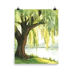 a watercolor painting of a tree by the river with green leaves on it's branches