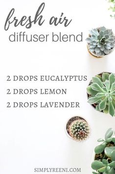 Hippie Juice, Eo Blends, Doterra Essential Oils Recipes, Air Diffuser, Healthy Hormones