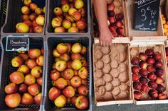 apples and other fruits are on display in bins