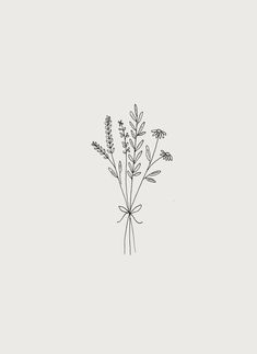 Botanical wild flower bouquet illustration by Ryn Frank Flower Bouquet Illustration, Ryn Frank, Wild Flower Bouquet, Bouquet Illustration, Wild Flower, Black And White, Flowers, White, Black