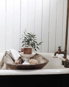 a bathtub with soap, scrubs and plants in the bowl on it's side