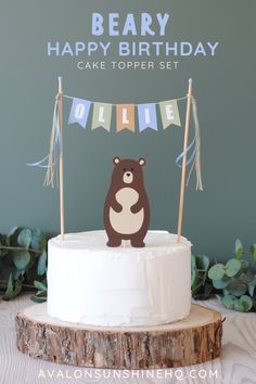 a bear cake topper sitting on top of a white cake