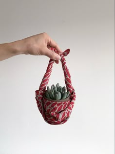 a hand holding a red and white bag with succulents in it