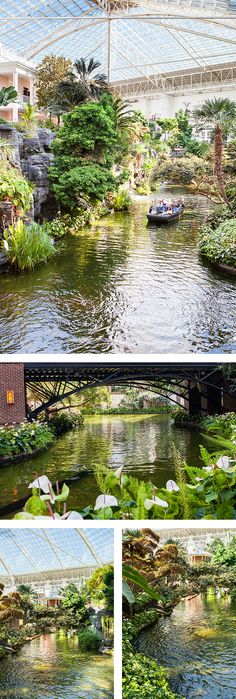 the inside of a greenhouse with water and plants growing in it, along with several different views of what appears to be a pond