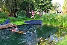 some people are swimming in the water and one person is jumping into the pool with a frisbee