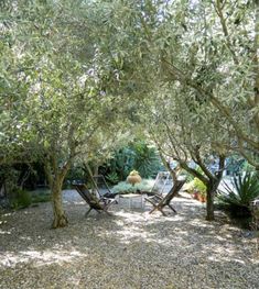 an outdoor area with chairs and trees in the background, surrounded by graveled ground