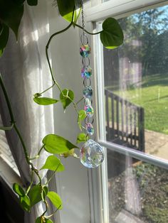 a glass ball hanging from the side of a window next to a green leafy plant