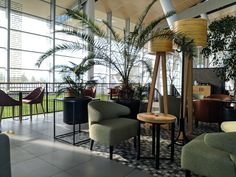 a room filled with lots of furniture next to tall windows and plants on the floor