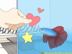 a fish in an aquarium being fed by someone's hand with a star on it