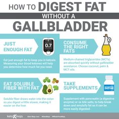 Does keto work without a gallbladder? – KETO-MOJO Gallbladder Meals, Bile Salts