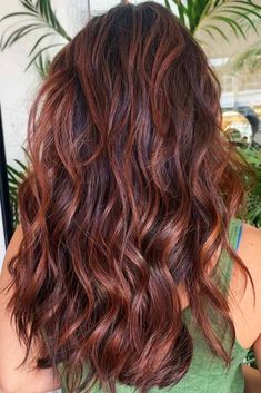 Ombre For Dark Hair, Warm Brown Hair With Highlights, Golden Balayage, Dark Ombre Hair, Light Ombre, Warm Brown Hair, Chestnut Brown Hair, Chestnut Hair, Chestnut Hair Color