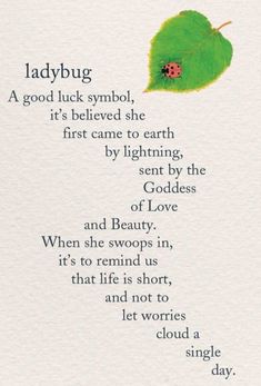 a ladybug poem with a green leaf on it