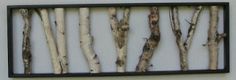 a group of branches hanging on the side of a white wall with black trim around it