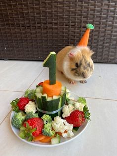 a hamster standing next to a plate of vegetables and fruits with a one on top