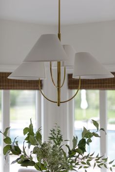 a potted plant sitting on top of a wooden table next to two lamps hanging from the ceiling