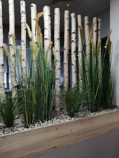 there are some plants in the window sill by the wall and behind it is a bamboo planter