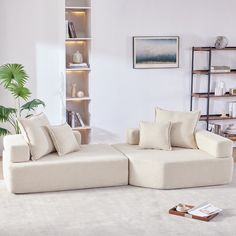 a living room with two couches and a book shelf on the wall next to it