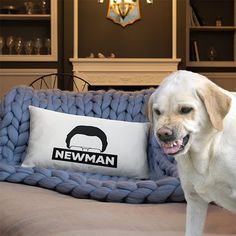 a white dog standing on top of a bed next to a pillow