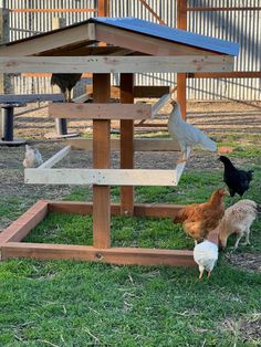 several chickens and roosters are standing in the grass near a wooden structure with a blue roof