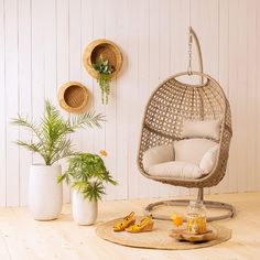 a wicker hanging egg chair with cushions on a wooden floor next to potted plants