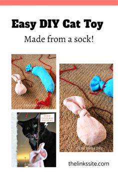 an easy diy cat toy made from a sock is shown with instructions to make it