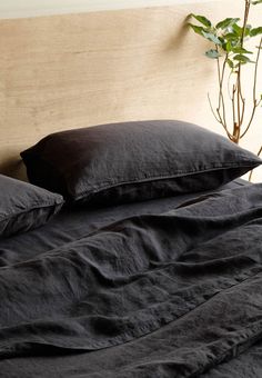 a bed with two black pillows and a plant in the corner on top of it