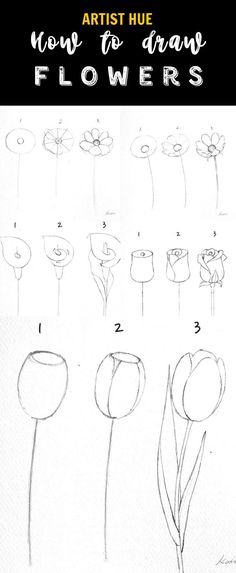 how to draw flowers step by step for kids and beginners with pictures on it