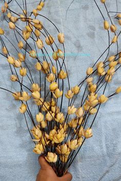 a hand holding a bunch of yellow flowers on a blue cloth covered tablecloth,