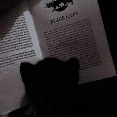 a person reading a book with a black cat sitting on it's back legs