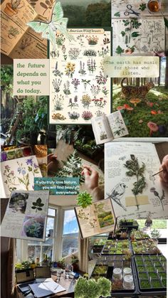 an assortment of plants and seed catalogs