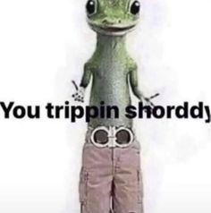 a green frog standing on top of a pair of pink pants with the words you trippin shordy