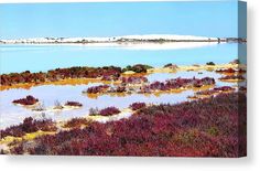 the blue water is surrounded by purple plants