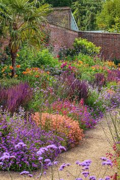 14 Key Flowering Plants for An English Country Garden Prairie Garden, English Country Gardens, Have Inspiration, Garden Pathway, Garden Borders, Gorgeous Gardens, Garden Lovers, Colorful Garden