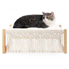 a gray and white cat laying on top of a wooden bench with tassels