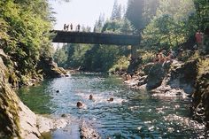 people swimming in a river under a bridge with trees on both sides and rocks below