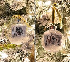 two christmas ornaments hanging from a tree decorated with snow and gold ribbon, one has an ornament that features photos of dogs on it