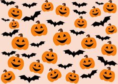 a lot of pumpkins with bats on them