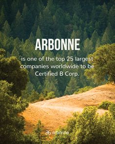 Arbonne Business, Vegan Nutrition, Integrative Medicine, Skin Condition, Low Glycemic