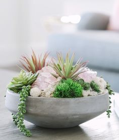 a planter with succulents sits on a coffee table