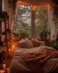 a bed in a room with lots of plants on the windowsill and lights hanging from the ceiling