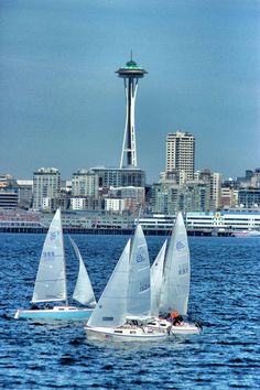 three sailboats in the water near a city with tall buildings and a space needle