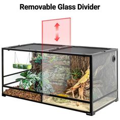 an image of a glass divider with plants and other things in it that are labeled