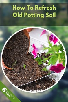 a book cover showing how to refresh old potting soil with flowers in the background