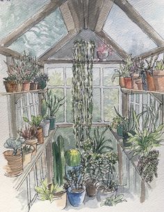 a watercolor painting of a greenhouse filled with potted plants and succulents