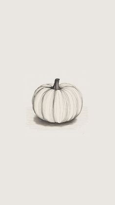 a drawing of a white pumpkin on a gray background with the words, how to draw a pumpkin