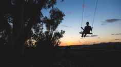 8 Simple Steps to a Awesome Silhouette — Live Snap Love | Learn How To Take Photos You Love Creativity Exercises, Tree Swing, Bright Background, Rule Of Thirds, Motion Blur, Blurred Background, Photography Skills