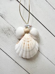 a seashell ornament hanging from a string on a white wooden wall,