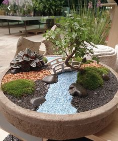 a bonsai garden with rocks and plants in it